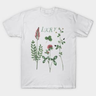 Irish Clover Botanical Illustration wit Text T-Shirt